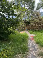 PHOTO-2025-09-19-16-59-03 (3)