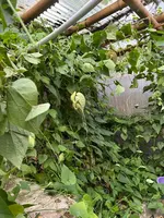 PHOTO-2025-09-19-16-59-03