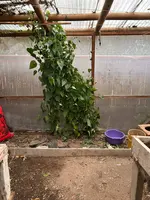 PHOTO-2025-09-19-16-59-36 (5)